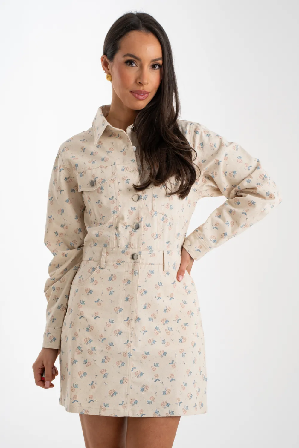 The Walk in Wardrobe Mini Dresses>Daisy Floral Denim Shirt Dress In Cream