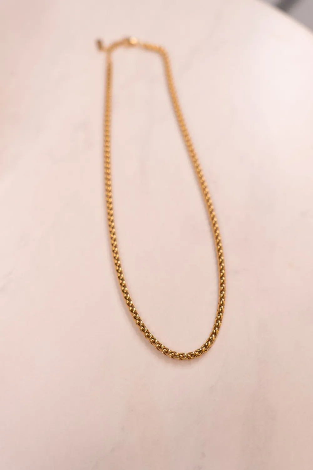 The Walk in Wardrobe Jewellery>Olive Wheat Chain Necklace In Gold